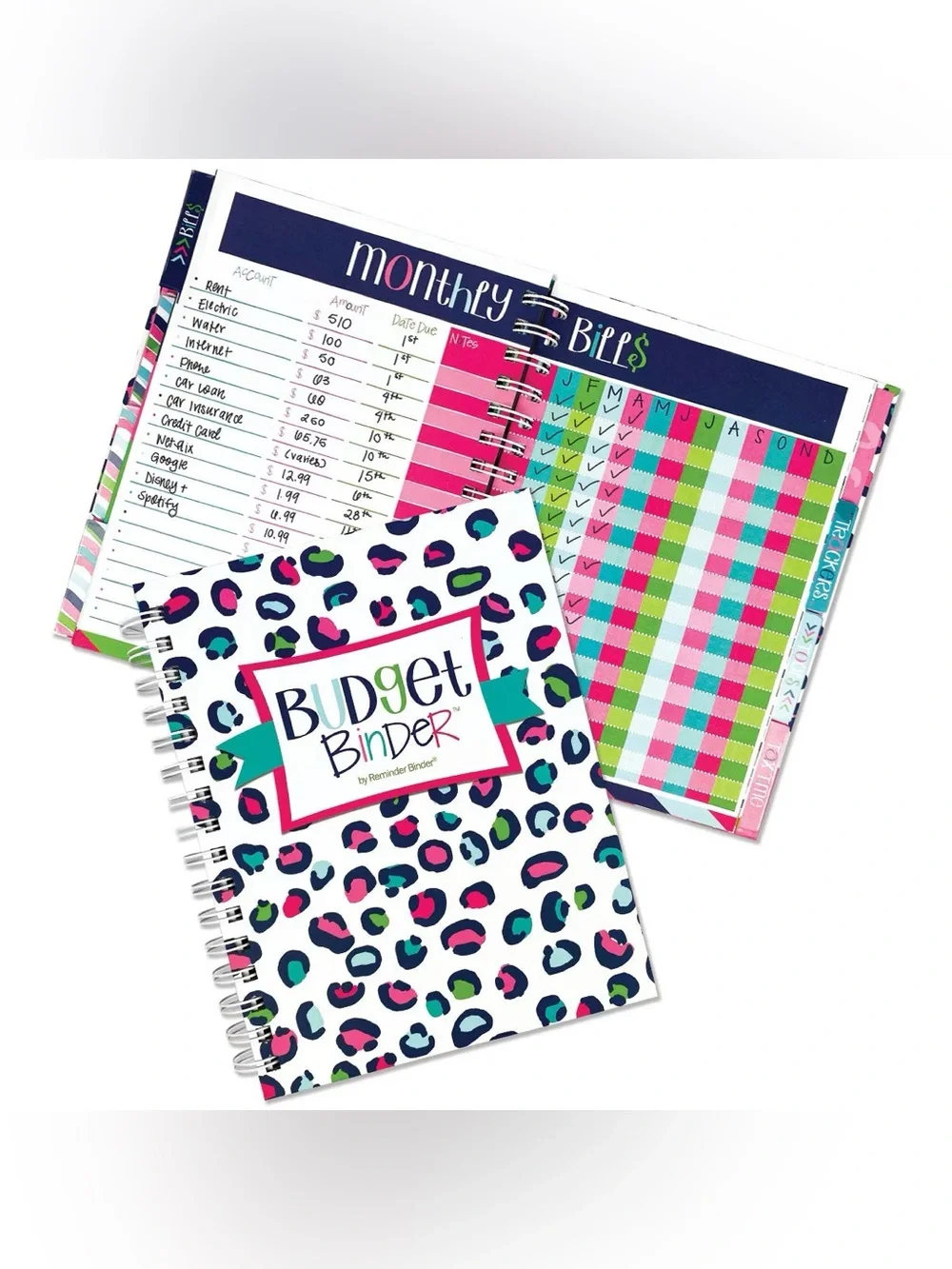 Denise Albright 12-Month Budget Planner, Bill & Expense Tracker, Undated, NWT